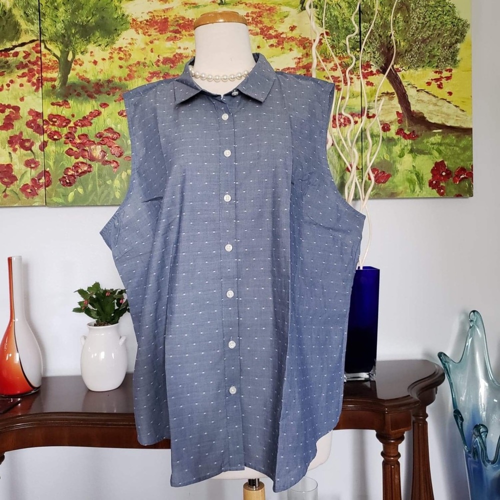 Never wore Van Heusen button down shirt - Picture 1 of 8